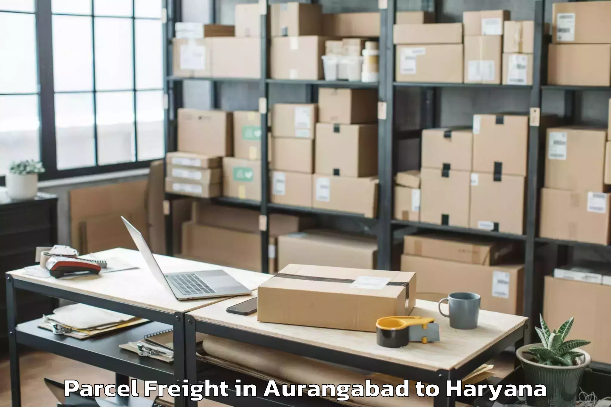 Aurangabad to Mvn University Palwal Parcel Freight Booking